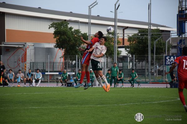 panmex17F3931819-040C-3830-B93D-7BB5E20E31AC.jpg