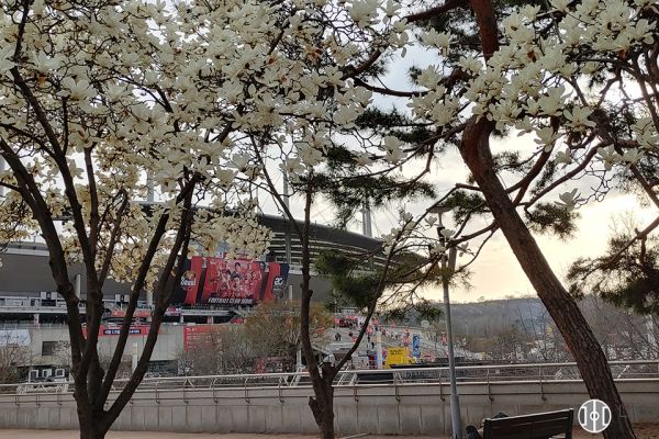 seoul-01A0ED9750-6048-D563-66A9-7F2F21630A7E.jpg